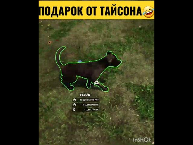 Animal Shelter |Приют для животных|прохождение новинок| #animalshelter #shorts #szavoda #игры