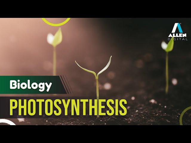 Photosynthesis in Plants | Light Reaction | Biology | English | Recorded Course | ALLEN Digital