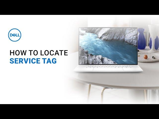 How to find a Dell Service Tag (Official Dell Tech Support)