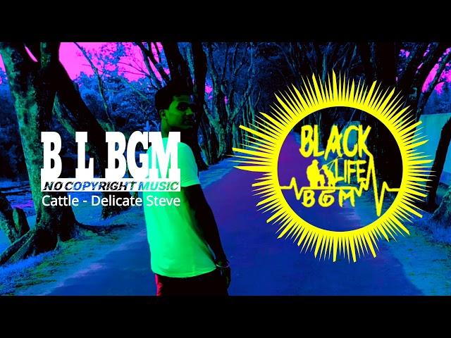 Cattle - Delicate Steve | Rock Dark Music | No Copyright Music | Black Life BGM