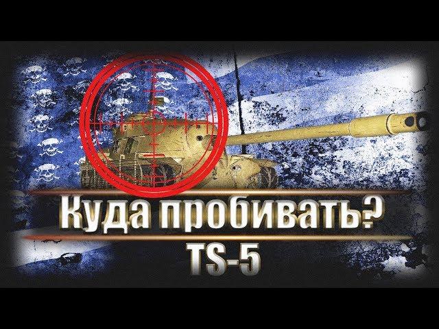 Куда пробивать TS-5 ● Обзор брони и обстрел с разных танков