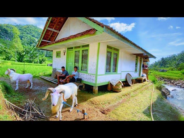 DIJAMIN BETAH MENIKMATI HIDUP DI KAMPUNG YANG INDAH ALAM DESANYA, SUASANANYA ADEM, AYEM & TENTRAM