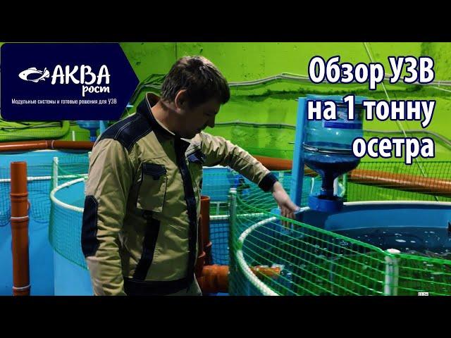 Обзор системы УЗВ на 19 кубов, 1 тонну осетра