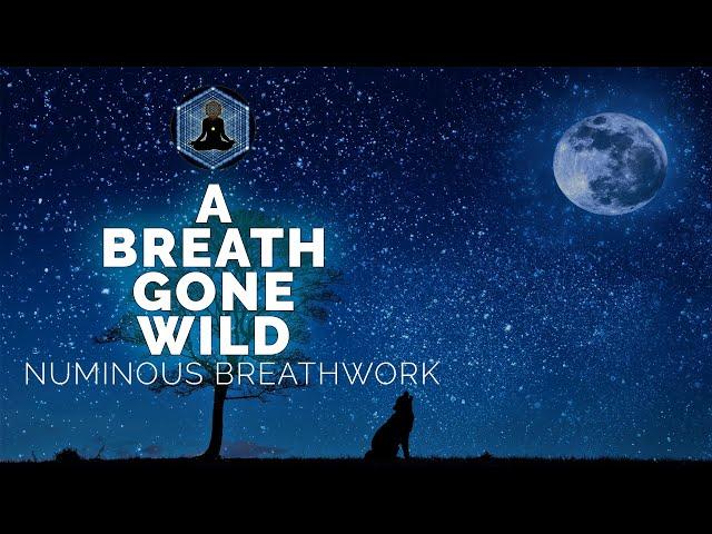 A Breath Gone Wild | Holistic  Breathwork | Guided Breathing Meditation