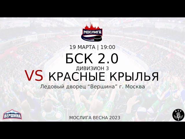 ХК БСК 2.0 - ХК КРАСНЫЕ КРЫЛЬЯ 19.03.2023 ВЕСНА 2023 МОСЛИГА