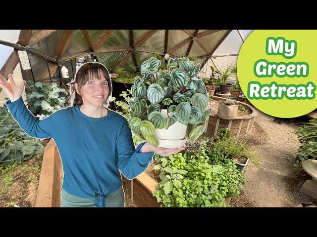 Fun Design Ideas for a DREAM Greenhouse Oasis!