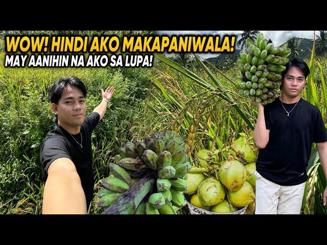 ANIHAN SA ATING NABILING LUPA! | HINDI AKO MAKAPANIWALA!