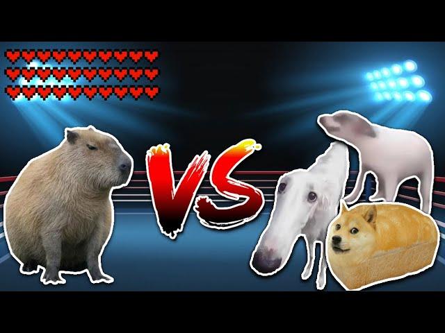 Giant Capybara vs All Dogs! Meme battle