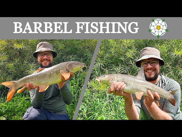 BARBEL FISHING| Summer fishing on a YORKSHIRE RIVER!