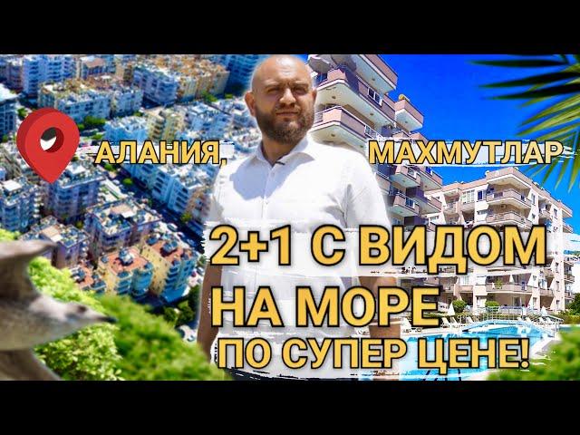 Квартира в Алании Турция. НЕДОРОГАЯ КВАРТИРА У МОРЯ.| NSM Real Estate недвижимость в Турции