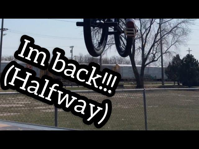 Local Park Session No.1 (I’m Back)