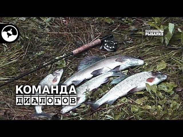 Нахлыст. Ловим хариуса на Урале | Классика
