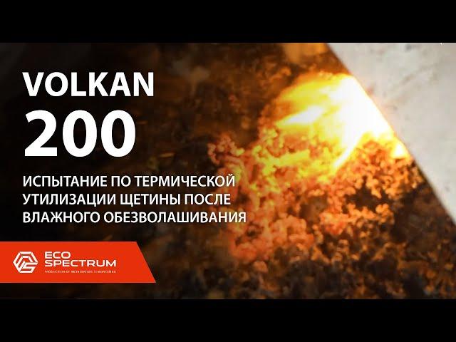 Инсинератор VOLKAN 200 - термическое обезвреживание биологических отходов: щетина