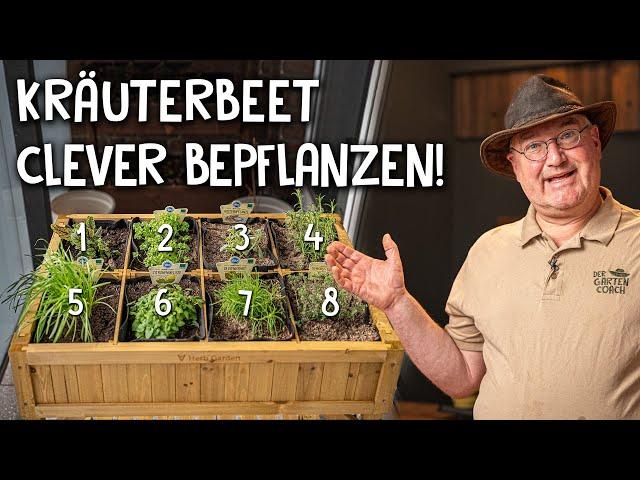 8 Kräuter in einem Hochbeet!  - Kräuterbeet bepflanzen für Balkon & Terrasse