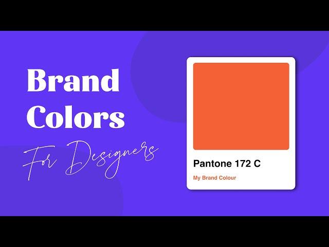 How to Choose The RIGHT Brand Colors? ‍️