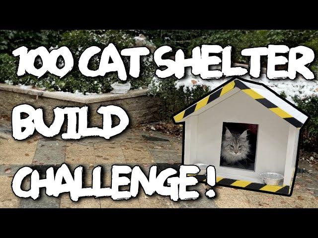 100 cat shelters in 48 hours - Can we finish before it snows?