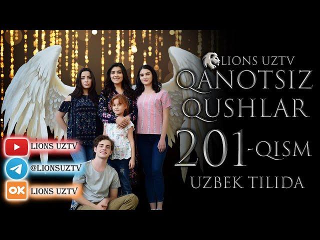 QANOTSIZ QUSHLAR 201 QISM TURK SERIALI UZBEK TILIDA | КАНОТСИЗ КУШЛАР 201 КИСМ УЗБЕК ТИЛИДА