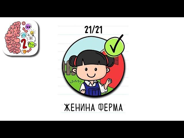 Как пройти Brain Test 2 Женина Ферма