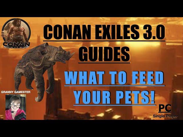 What to feed pets! Conan Exiles 3.0 Guide