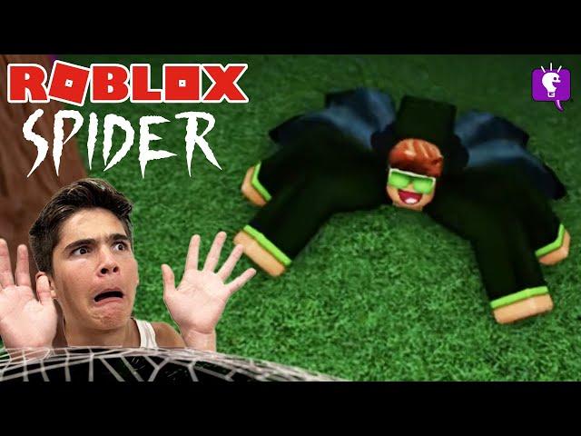 Spider Roblox and Hobby Update on HobbyFamilyTV