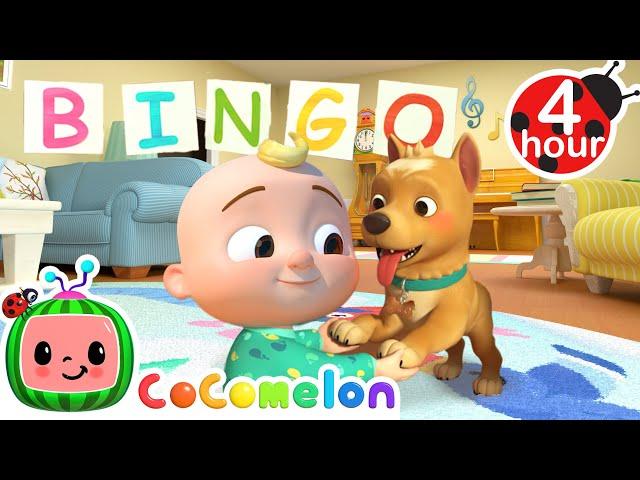 BINGO! | 4 HOUR CoComelon Nursery Rhymes