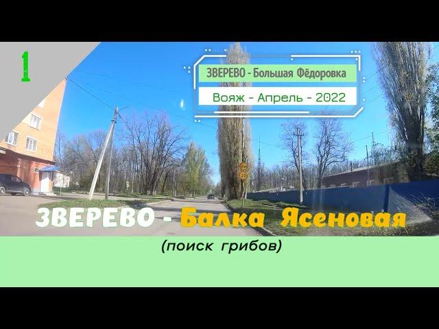 ЗВЕРЕВО -Балка Ясеновая /#1 -Ростовская обл. -Апрель -2022