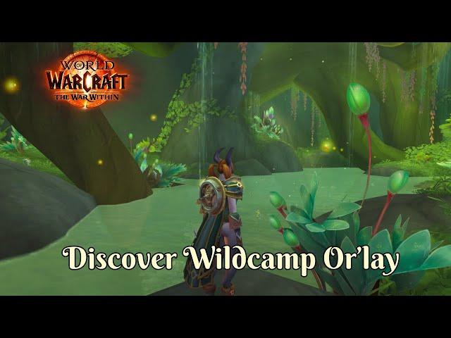 Exploring Wildcamp Or’lay: Hidden Gem of Azj-Kahet | WoW The War Within