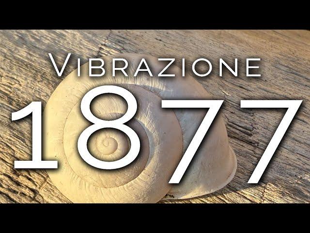 1816-IT Cosmin, Vibrazione 1877 - Ipnosi Esoterica ∞ Lucio Carsi