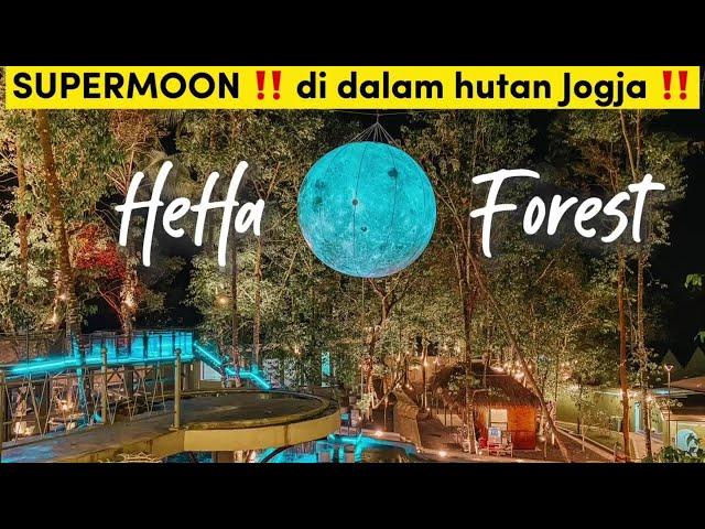 HEHA FOREST KALIURANG FOTO DENGAN BULAN DI TENGAH HUTAN | Review Wisata Terbaru Jogja 2023