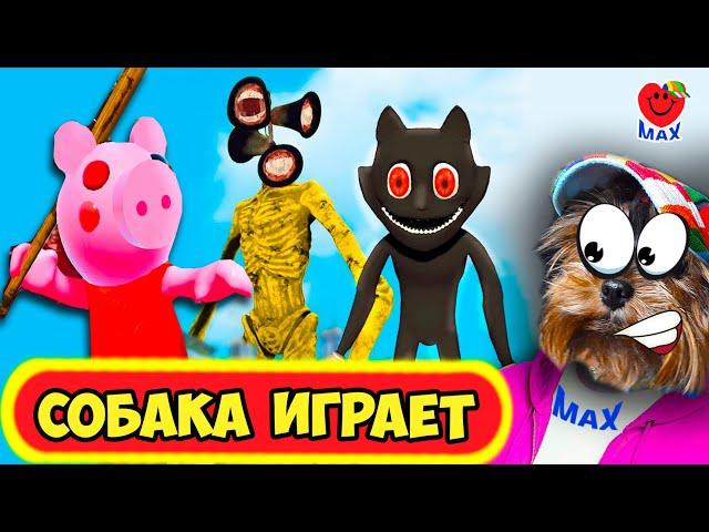 СИРЕНОГОЛОВЫЙ взломал ПИГГИ 2, CARTOON CAT поймал ДЖОРДЖА! СОБАКА ИГРАЕТ! Siren Head. Валеришка Макс