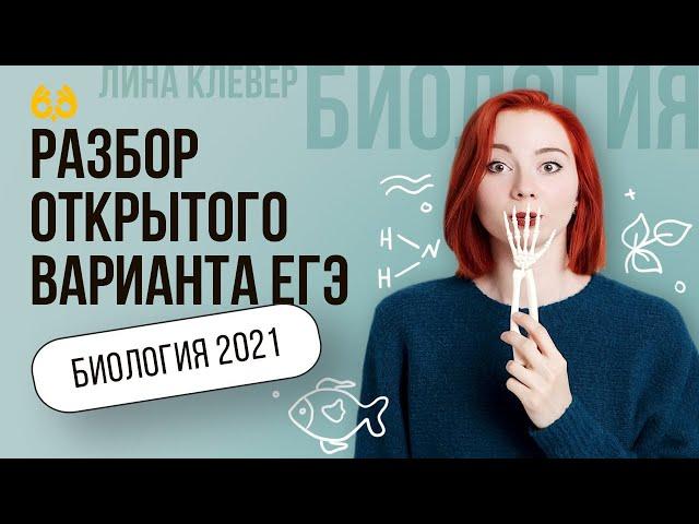 Разбор открытого варианта ЕГЭ   | БИОЛОГИЯ ЕГЭ | Лина Клевер