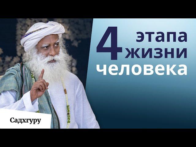 Как твоя жизнь меняется каждые 12 лет?