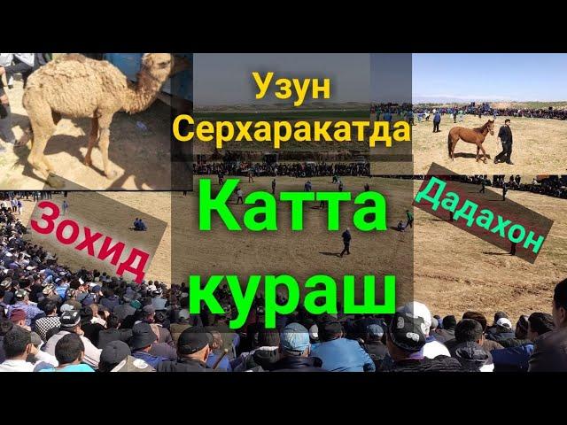 УЗУН СЕРХАРАКАТДА КАТТА КУРАШ ТУЛИК ВЕРСИЯ. #uzuntumani2021