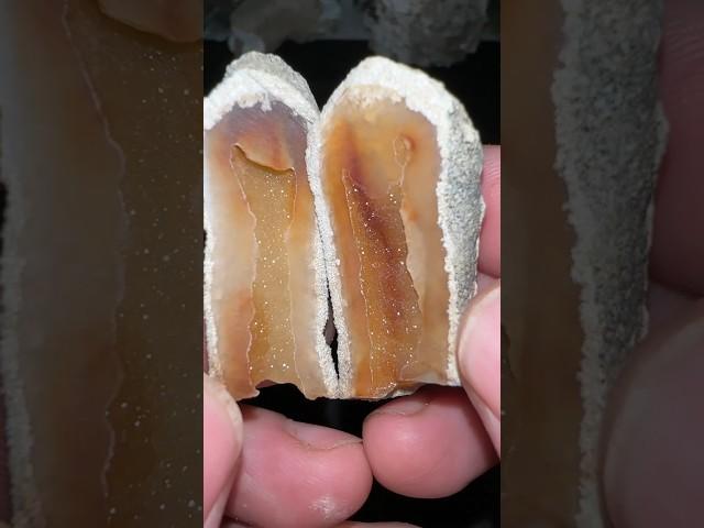 Which Ancient Coral Geode’s your fave? 🪸 #crystal #geology #rocks #agatedad #geodes #gems #shorts