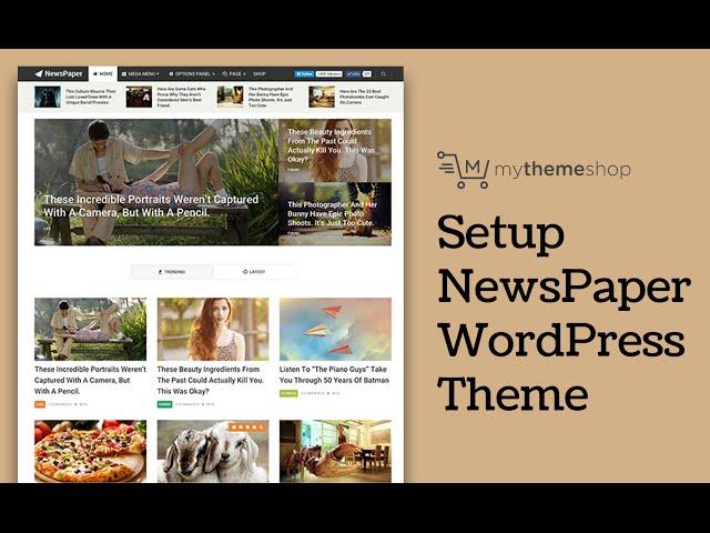 NewsPaper WordPress Theme Setup Tutorial