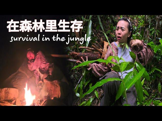 Surviving Storm Yagi: Hang's Desperate Fight for Survival in the Jungle | Ly Phuc Hang