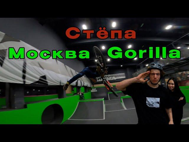 Москва Степа Gorilla