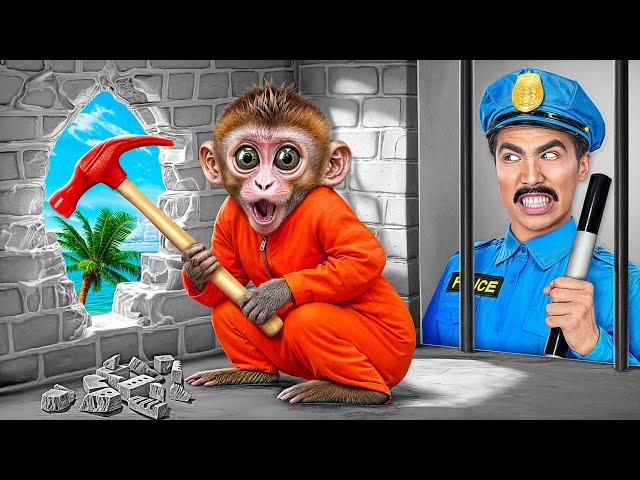 Monkey Escape from Pets Prison by Multi DO Smile