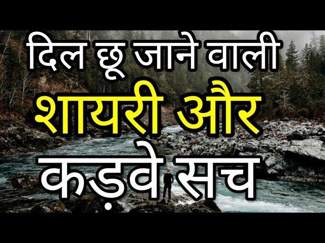 Zindagi Ke Sabse Bade Kadwe Sach Or Dil Chune wali Shayari | Motivational & Success Quotes shayari