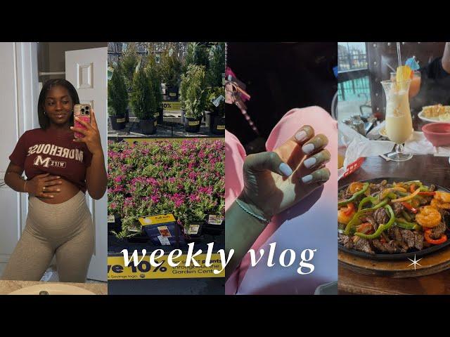 weekly vlog | starting a garden, bump update, dog grooming, etc. 🪴