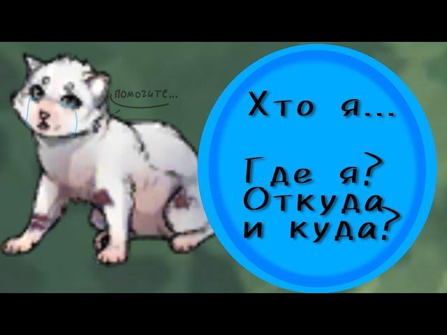 Что с персонажем? || Откуда и куда? || CatWar