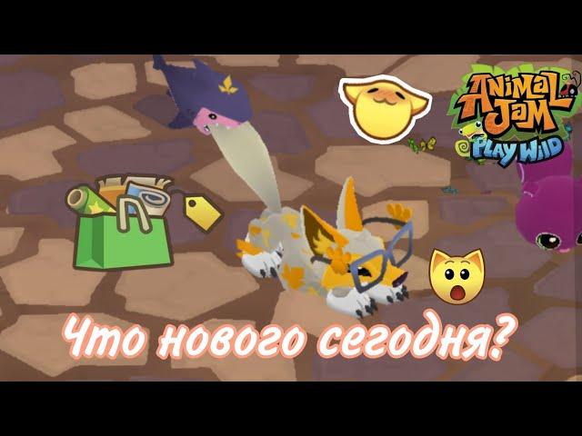 Что новенького сегодня в Animal Jam? / Обзор AJ / Энимал джем