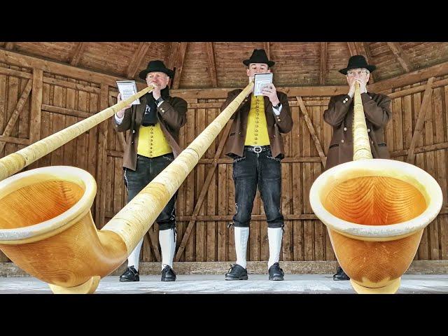 Альпийский рог ALPHORN | Отдых в Баварии на озёрах и в Альпах | #Shorts