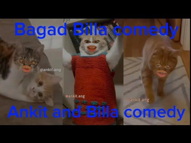 bagad Billa phul comedy  Ankit and Billa comedy  #bagad #billa #viralvideo #comedy