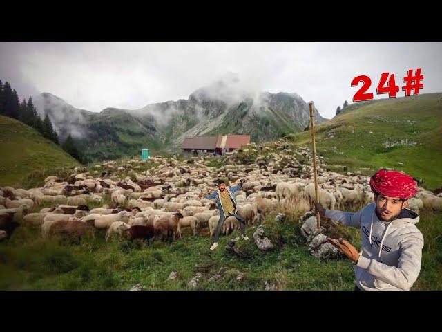 Leaving in 24 hour with banjara lifstyle