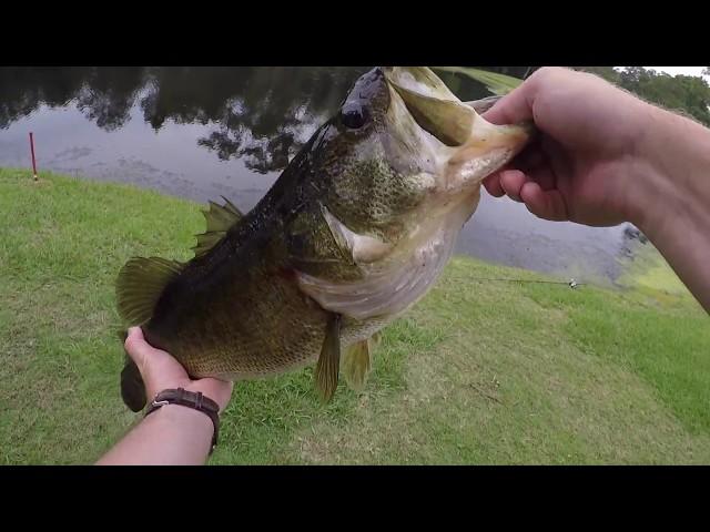 FishNV Takes Florida (part 2) With Another Personal Best Largemouth Bass!!