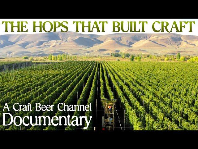 The hops that built craft beer – a documentary | The Craft Beer Channel