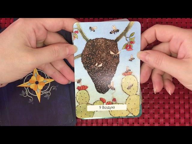 Таро Ведьм ️ Witches Wisdom Tarot . Бюджетная и милая колода, но больше оракул, чем таро.