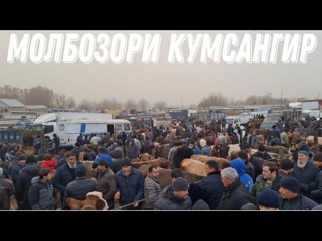 НАВОР ЗУРИ БАД ШУД.МОЛБОЗОРИ КУМСАНГИР. 15 декабря 2024 г