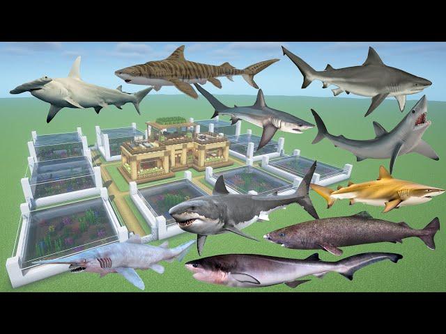 How To Make Every Shark Farm in Minecraft PE